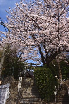 e0014058_1816084.jpg