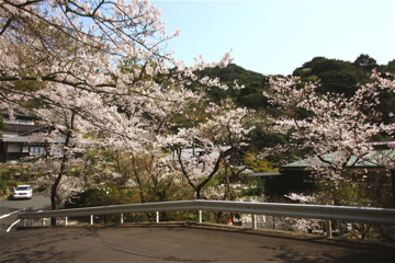 e0014058_182272.jpg