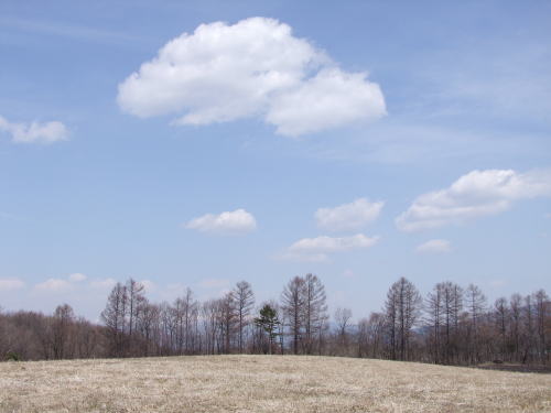 e0088260_2114121.jpg