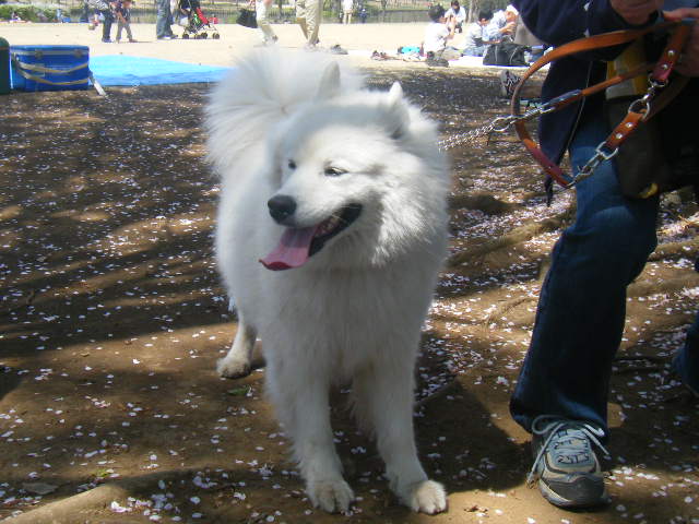e0129661_23102672.jpg