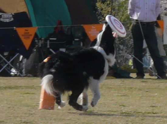a0100564_2146219.jpg
