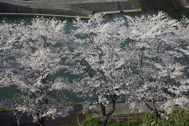 c0020265_2025169.jpg