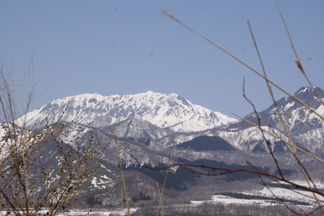 a0091666_2150457.jpg