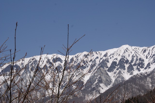 a0091666_22243197.jpg