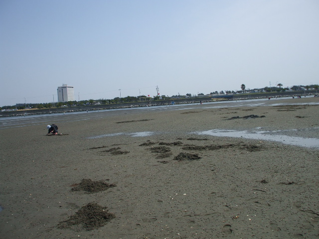 c0138868_20484957.jpg