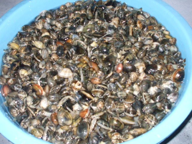 c0138868_20524356.jpg