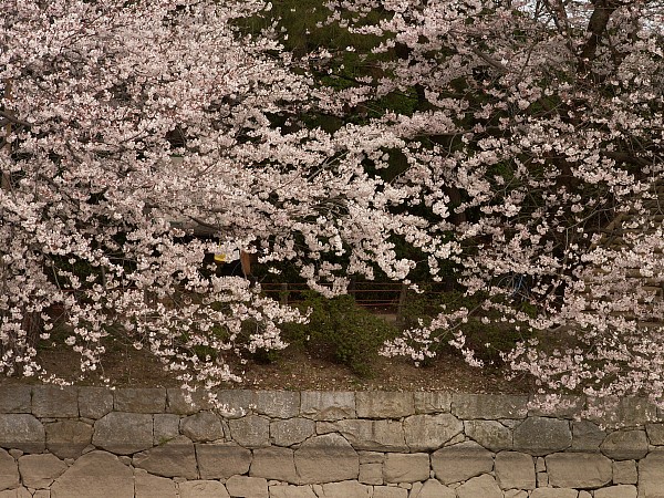 f0104569_043297.jpg