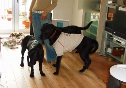 b0003270_13145080.jpg
