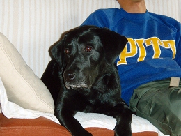 b0003270_13224824.jpg