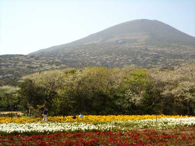 e0097770_21523312.jpg