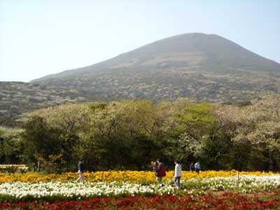 e0097770_21532536.jpg