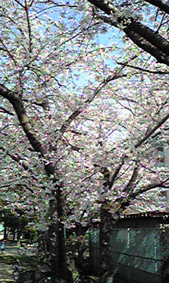 c0157571_22112355.jpg