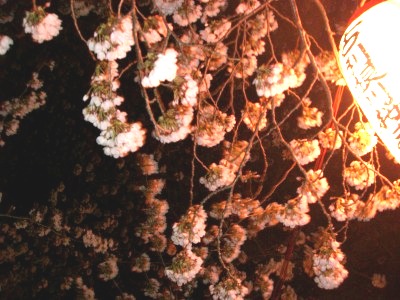 c0078480_17563457.jpg