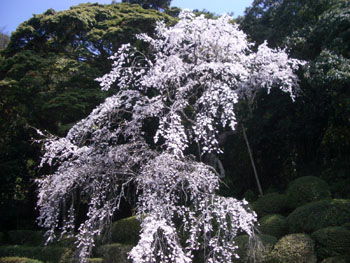 f0079980_1541765.jpg