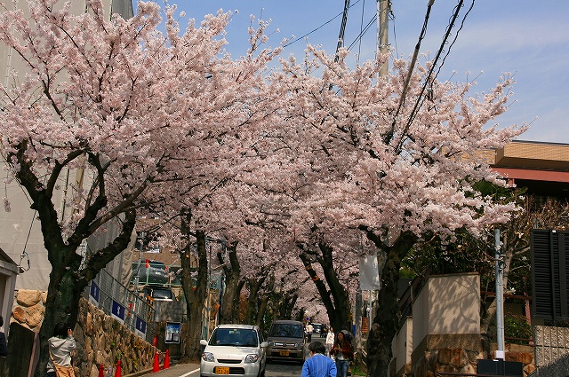 b0073782_834756.jpg
