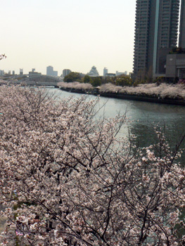 b0014587_11135714.jpg