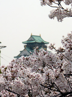 b0014587_11153839.jpg