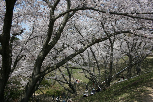 b0118987_14483858.jpg