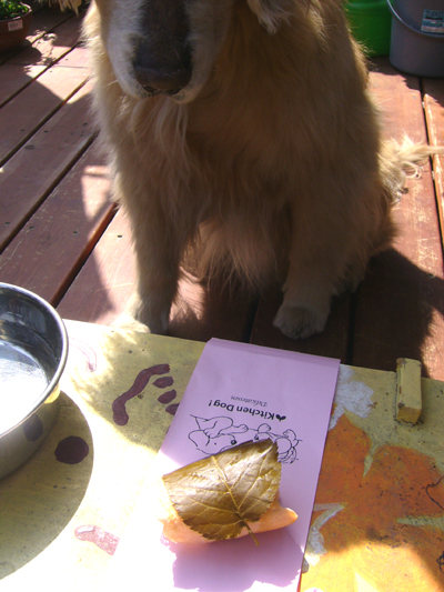 c0085188_2132142.jpg