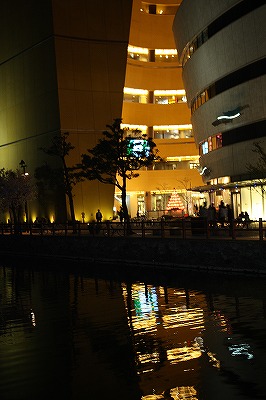 d0136889_1381465.jpg