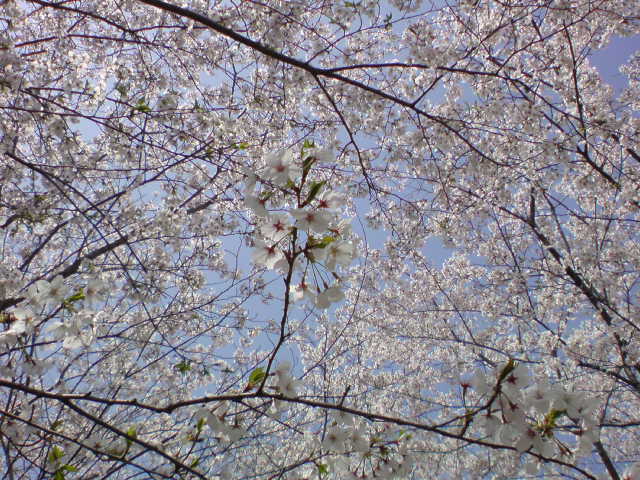 a0089790_20575596.jpg