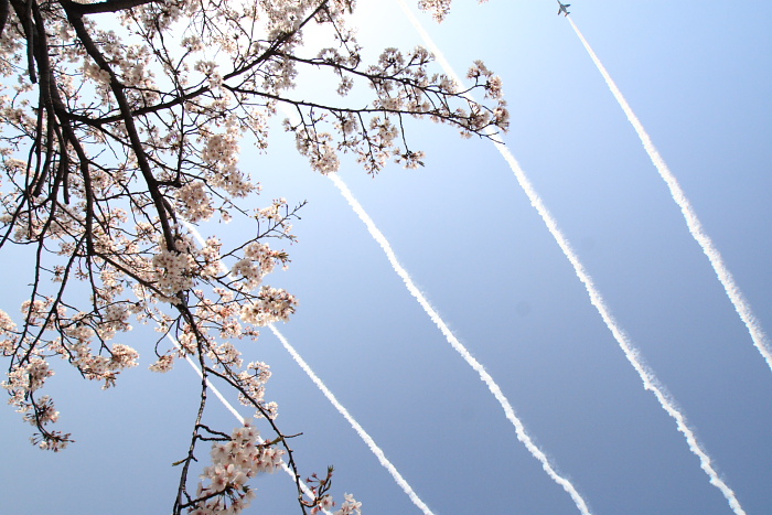 c0159490_2343366.jpg