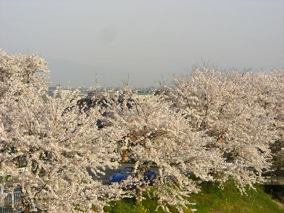 f0068291_17345149.jpg