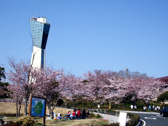 a0061594_214727100.jpg