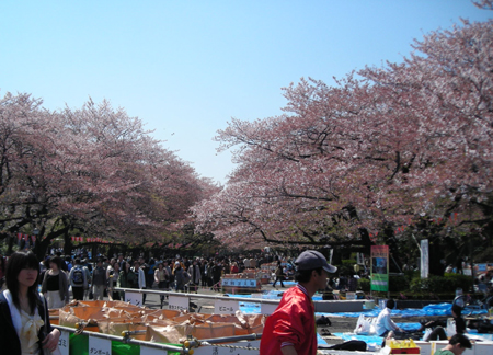 d0000995_21413460.jpg