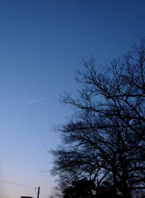 f0122895_5223569.jpg