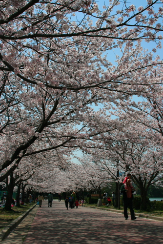 c0129498_23313523.jpg