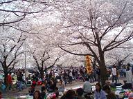 e0106098_0343269.jpg