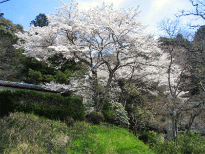 b0108100_20571562.gif
