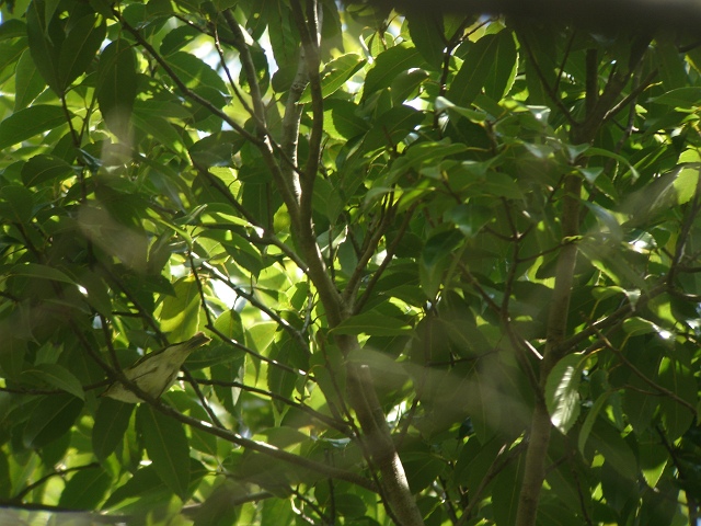 c0079001_21492444.jpg