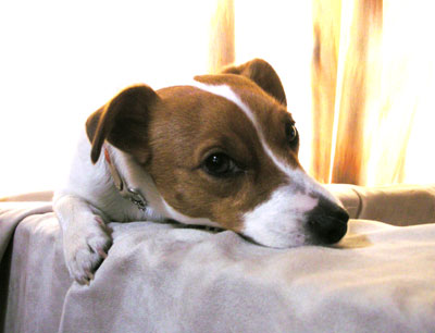 a0051402_010421.jpg