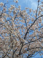 c0148705_21381523.jpg