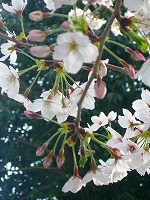 c0148705_2139933.jpg