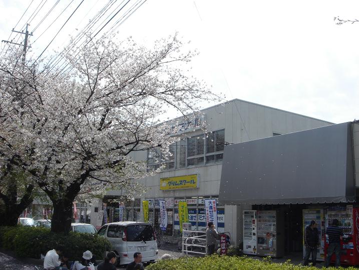 f0158306_175170.jpg
