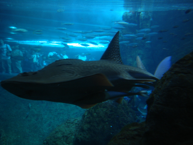 e0015108_23512962.jpg