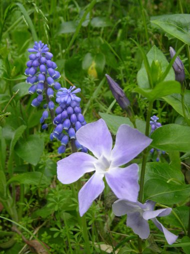 c0097309_8571899.jpg