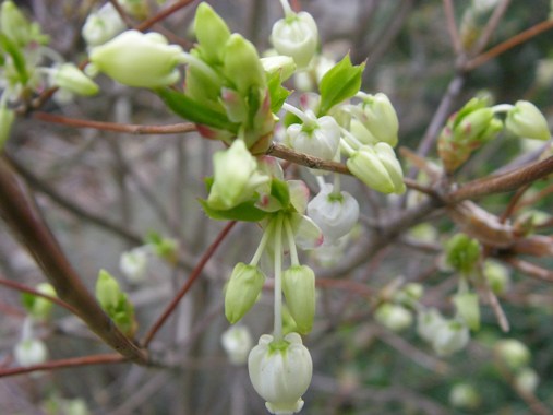 c0097309_901819.jpg