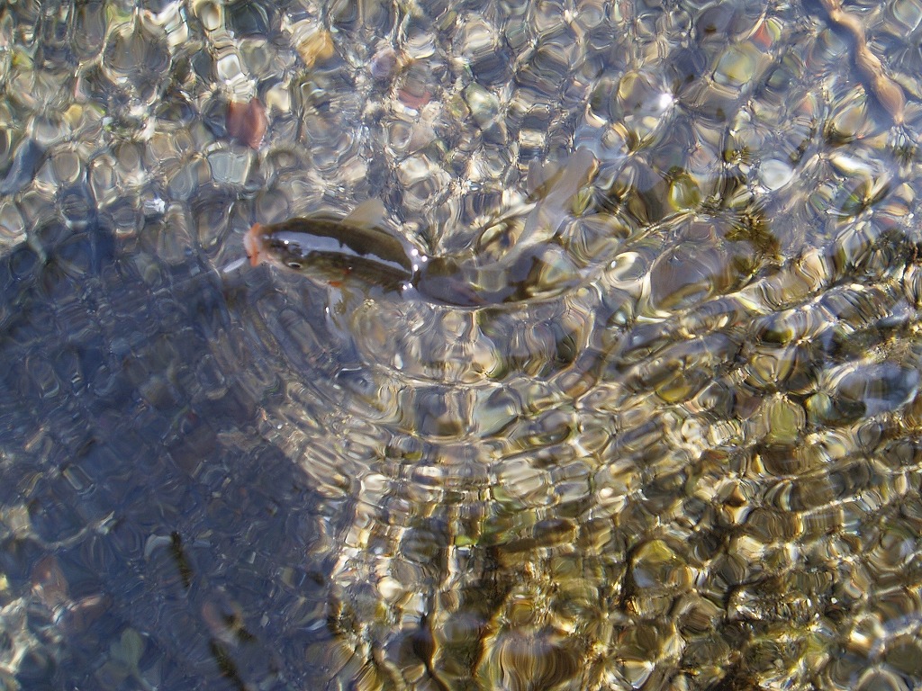 f0137709_0423681.jpg