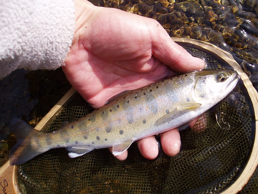 f0137709_134020.jpg