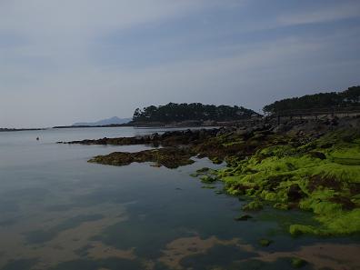 e0077910_0171728.jpg