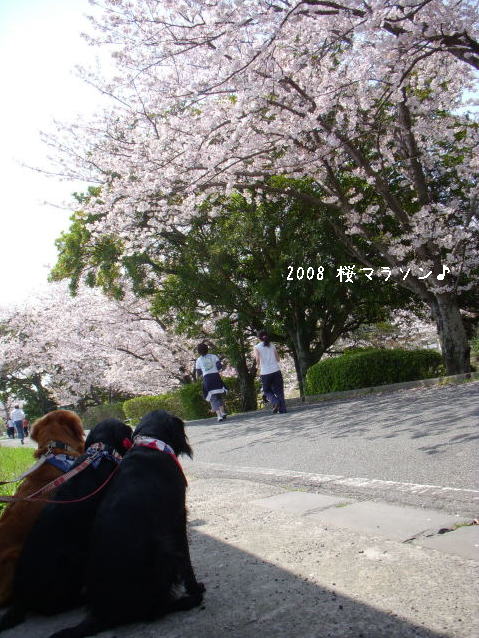 c0017311_7171211.jpg