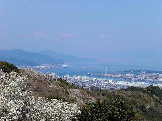c0008913_22395695.jpg