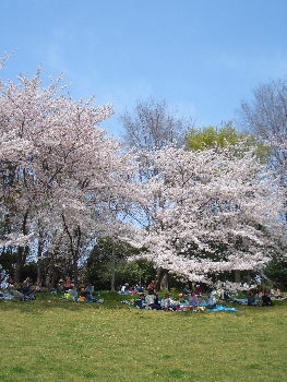 f0126515_22151791.jpg