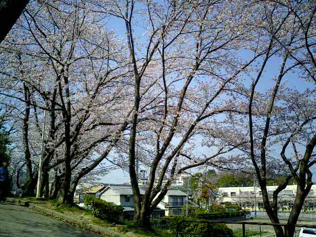 a0097117_038296.jpg