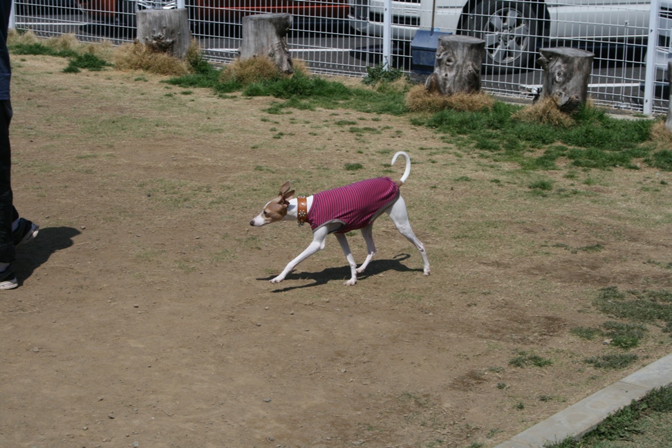 c0003217_10543531.jpg