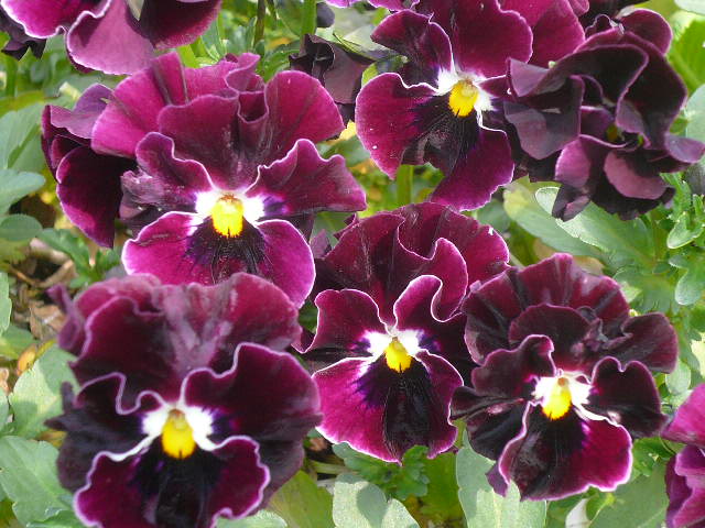 e0026017_13355299.jpg